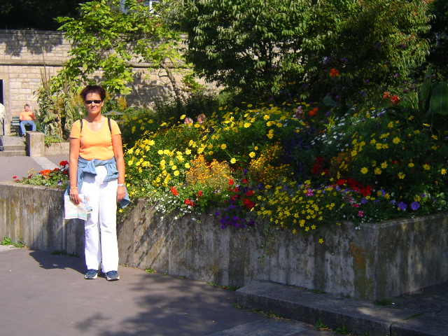 Blumen am alten Kranen