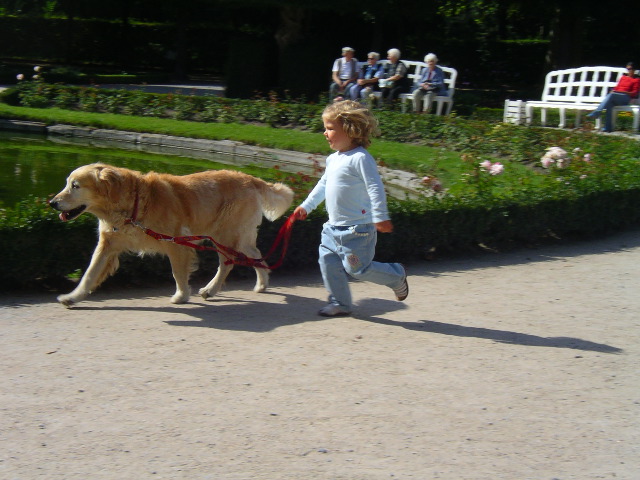 Hund ausführen im Hofgarten